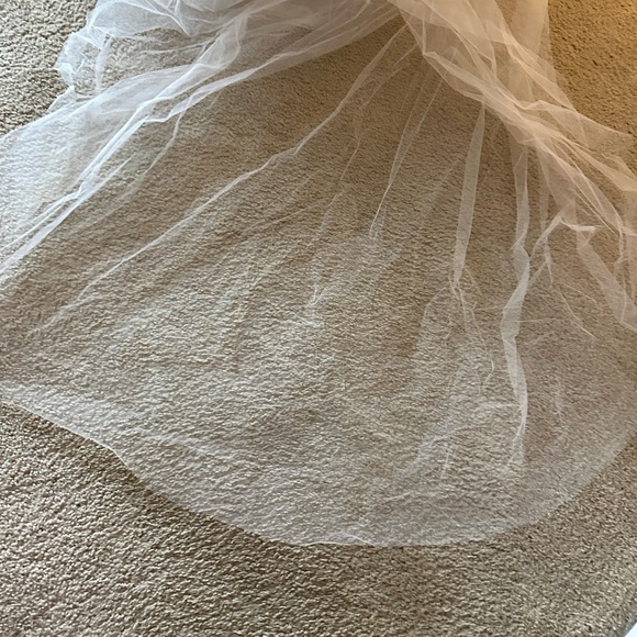 Gorgeous cathedral long tulle veil from Jenny Yoo - Picture 7 of 7